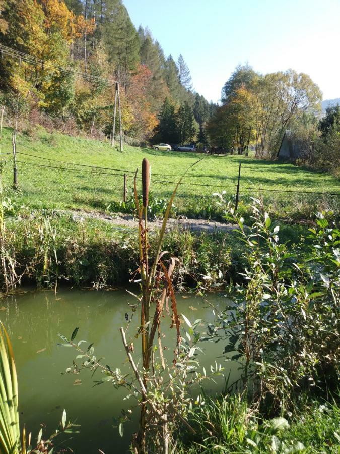 Noclegi Przy Szlaku Agroturystyka Zabnica Экстерьер фото