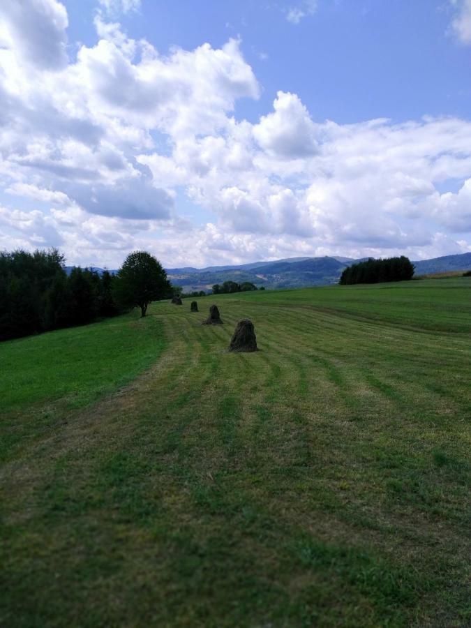Noclegi Przy Szlaku Agroturystyka Zabnica Экстерьер фото