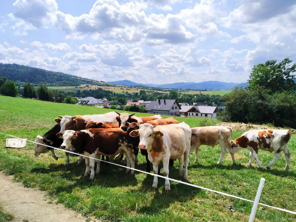 Noclegi Przy Szlaku Agroturystyka Zabnica Экстерьер фото