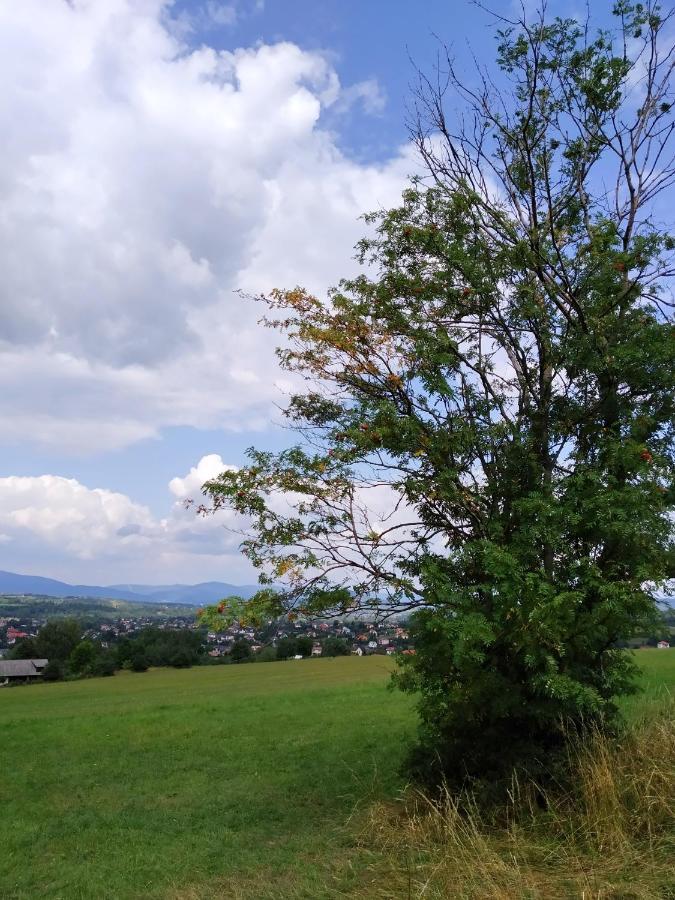 Noclegi Przy Szlaku Agroturystyka Zabnica Экстерьер фото